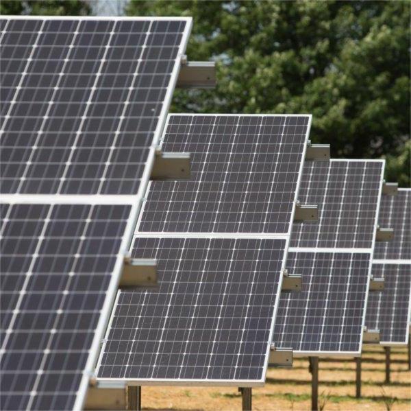 Rows of solar panels at GVSU's Solar Garden.